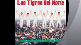 Video thumbnail of "Los Tigres Del Norte Enseñarte a Respetar"