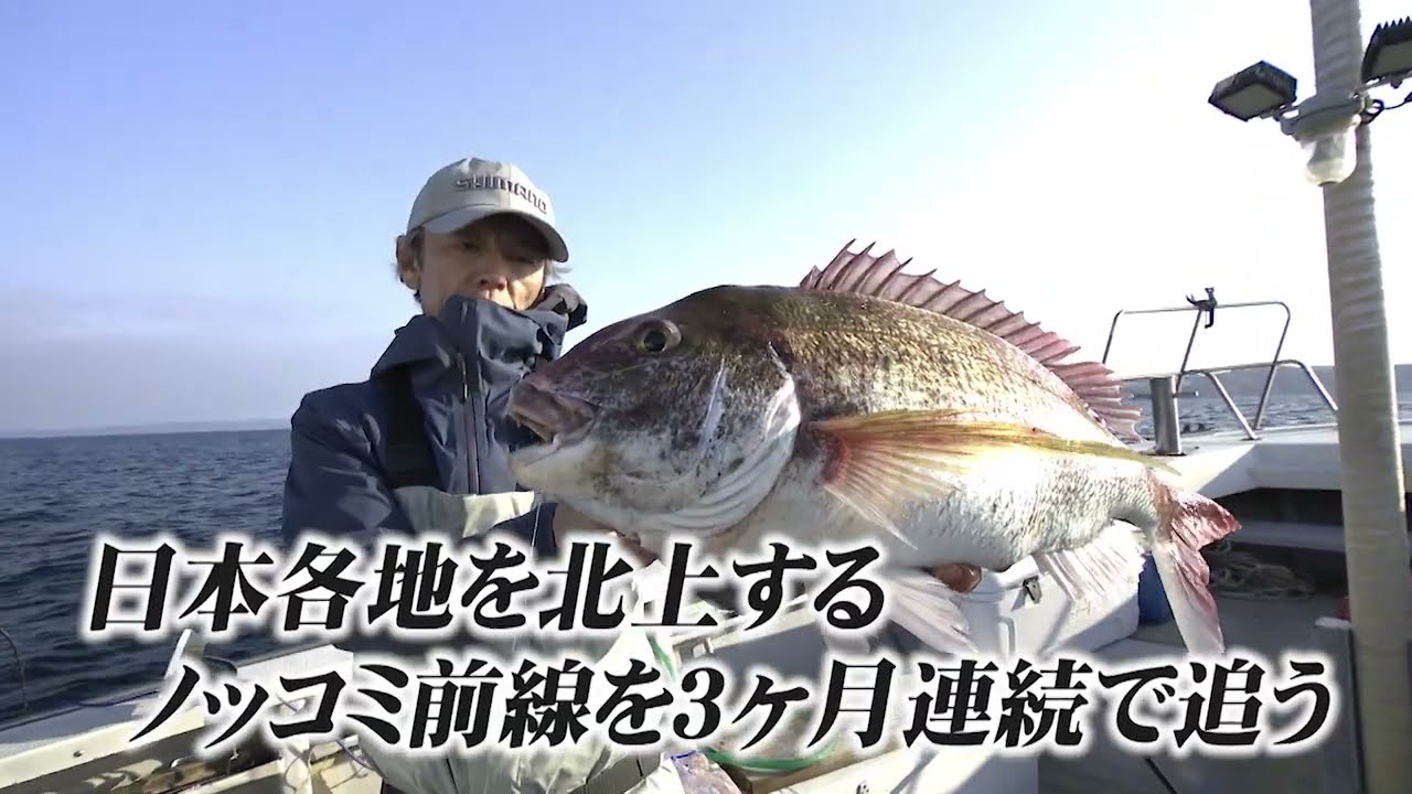 YouTube_4RkGeGHFfA4サムネイル