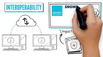 What is SNOMED CT? A Whiteboard Explainer