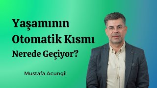 Yaşamının Otomatik Kısmı Nelerle Geçiyor? Çevik Yaşam Haftalık Takipler