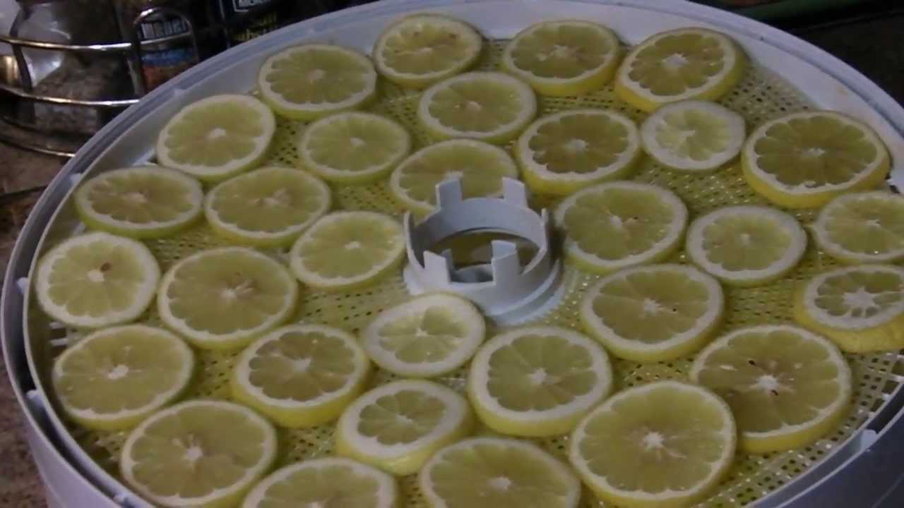 How to Dehydrate Lemons and Citrus Fruit YouTube