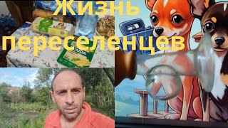 Жизнь переселенцев:Вопрос знатокам