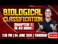 Plus One Biology Chapter 1 | Biological Classification - Full Chapter in 45 Minutes 🔥| RK Nex