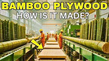 How Millions of Bamboo Trees Are Processed in a Massive Factory to Become Plywood