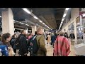 Train Ride From #London Paddington Station. Beautiful Dog amongst Crowd!