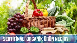 Sertifikalı Organik Ürün Nedir? / ORGANİK TARIM DOĞAL ÜRÜN