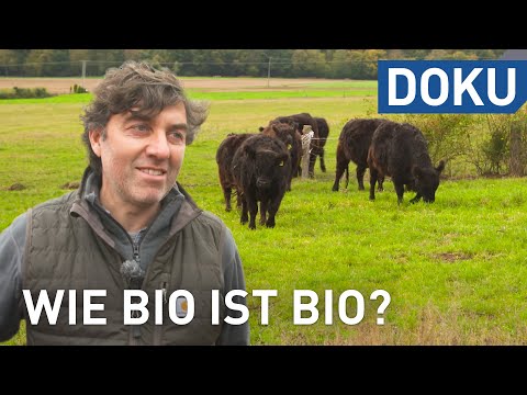 Video: Seltsame Orte für den Gemüseanbau: Anbau von Produkten an unkonventionellen Orten