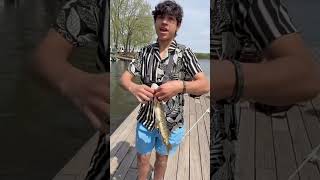 THE BAIT WAS THE SIZE OF HIM #fishing #viral #shorts #northernpike #fishibgwboyz