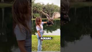 Rahsia Helang Pakai Penutup Kepala