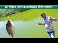 தூண்டில் போட்டு குளத்தில் மீன் வேட்டை | Catching Fish in a Pond by Fishing Hook | POND FISHING