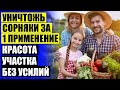 От сорняков на грядках отзывы