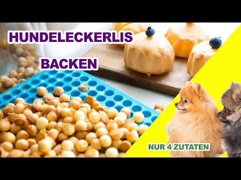 Video: Donnerstags Fotoauswahl des Wurfes: Ozzy