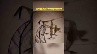 Reaction of 765 kv electric Power line 😯 reaction #shorts #video