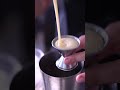 Annee's Caphê Sua Da, Vietnamese Coffee