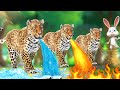 புத்திசாலி முயல் மற்றும் மூன்று சிறுத்தைகள் - Clever Rabbit &amp; 3 Panthers Tamil Moral Stories JOJO TV