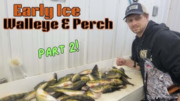 Perch, Pike & Jaw Jacker Walleye - Lake Winnie