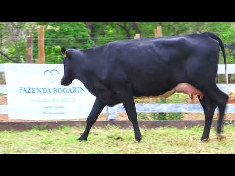 LOTE 08 640