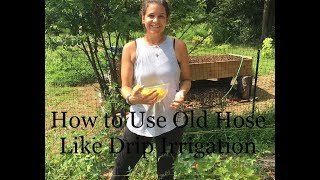How To Repurpose Old Hose For Garden Irrigation