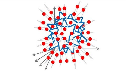 AMMI Course "Geometric Deep Learning" - Lecture 2 (Learning in High Dimensions) - Joan Bruna