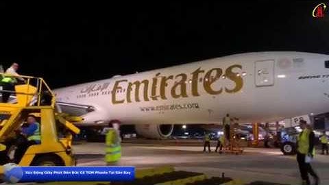 Xúc Động Giây Phút Đón Linh Cữu Đức Cố TGM Phaolo Bùi Văn Đọc Tại Sân Bay Tân Sơn Nhất