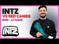 COMO CONSERTAR ESSA BIND DA @INTZeSports ??? - Análise VCB Split 1