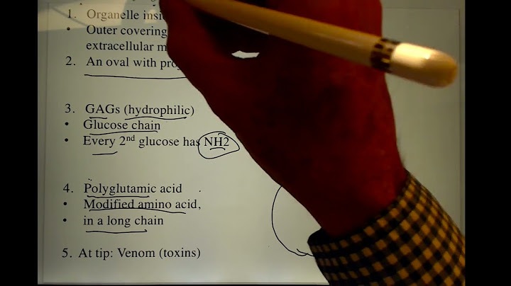 Cnidocyte cell ของ ไฮดรา ม ความ สำค ญ อย างไร