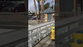 Tsunami affect in Santa Cruz￼, California
