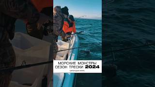 МОРСКИЕ МОНСТРЫ БАРЕНЦЕВА МОРЯ. СЕЗОН ТРЕСКИ 2024 #fishing #kolapeninsula #рыбалка #seafishing