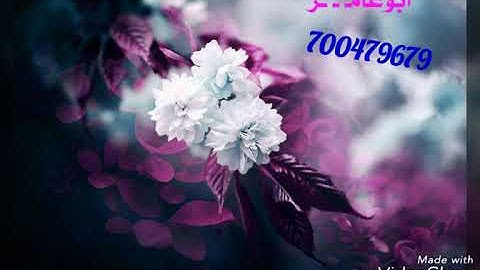 تلاوه تخشع لها القلوب للشيخ عبدالكريم الخليدي