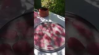 How To Make Blush At Home Resimi