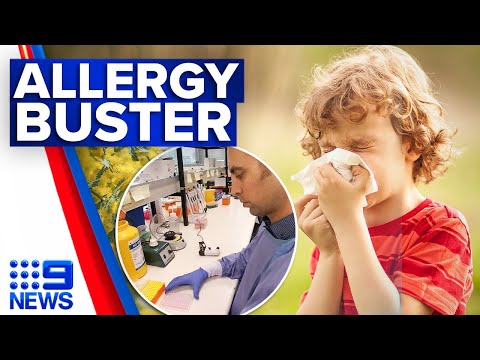 New treatment could relieve hayfever sufferers from wheezy hell | 9 news australia