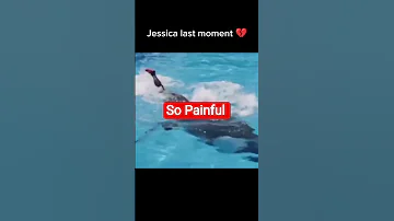 So Painful Jessica Orca Attack 