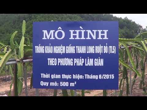 Những tấm gương tiêu biểu của hội viên nông dân trong phát triển kinh tế