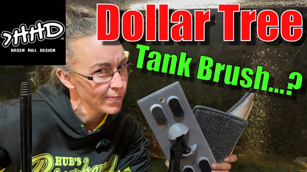 Dollar Tree Tank Brush