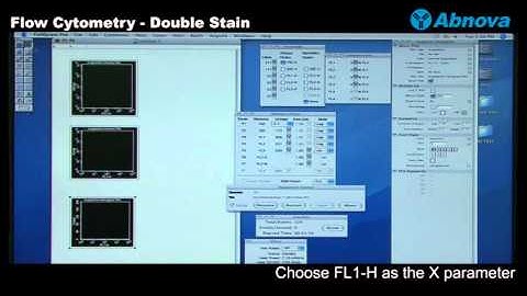 Flow Cytometry - Double Stain