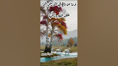 #anasوَمَا مِن دَابَّةٍ فِي الْأَرْضِ إِلَّا عَلَى اللَّهِ رِزْقُهَا #سورة هود