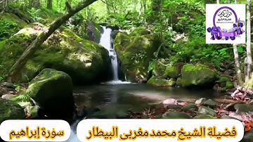 سورة إبراهيم- قيام رمضان ١٤٤٠- الشيخ محمد البيطار