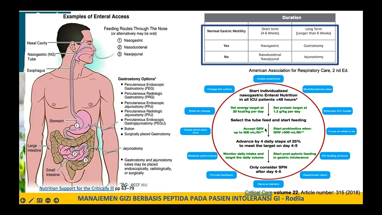 Manajemen Gizi Berbasis Peptida untuk Pasien dengan Intoleransi Gastrointestinal