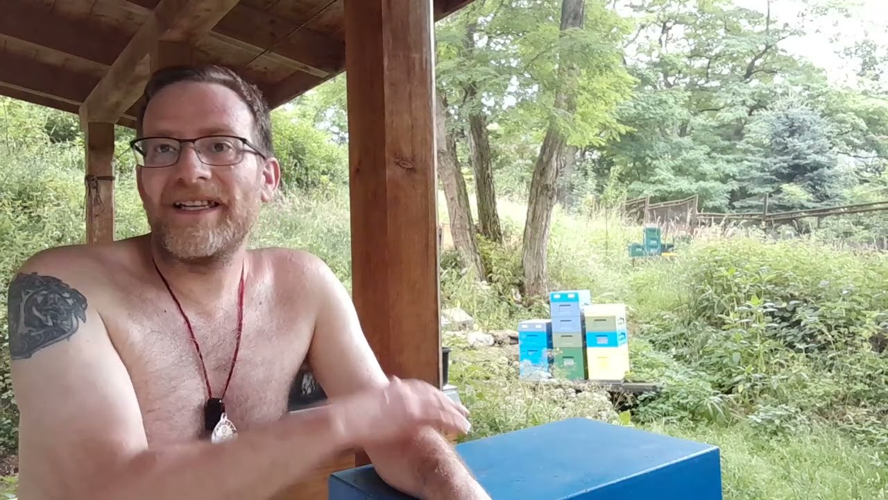 Včelaření v šestirámku - totálně medem napráskané včely.. tohle jsem nějak nevychytal :-)