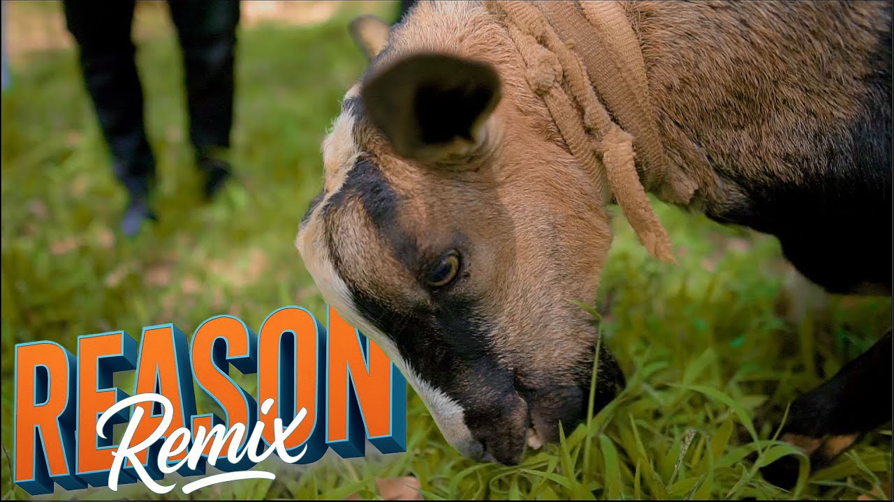 Reason [Remix]_-_Makyou feat. Keyg Lemonde, Josh Keeper & Kemv Elckan) (Official Video)