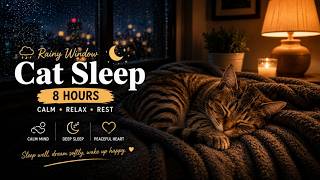 Relaxing Cat Cafe Music ☕ Rainy Night Ambience for Focus and Deep Sleep screenshot 4
