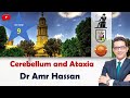 أ.د.عمرو حسن الحسني أستاذ المخ والأعصاب-Cerebellum and Ataxia