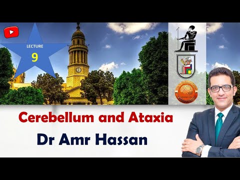 أ.د.عمرو حسن الحسني أستاذ المخ والأعصاب-Cerebellum and Ataxia