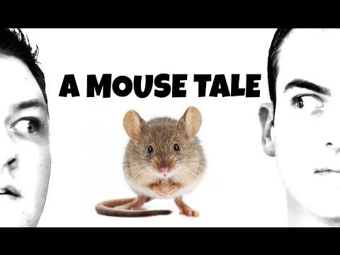 Promo 16: A Mouse Tale