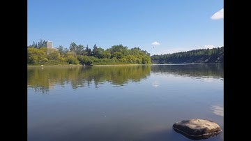 AWC Water for Life Implementation Review