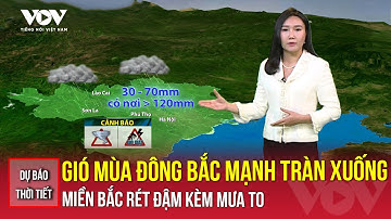 Dự báo thời tiết ngày mới 13/12 | Gió mùa đông bắc mạnh tràn xuống, miền Bắc rét đậm kèm mưa to| VOV