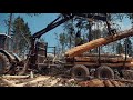 Подключение лесного  прицепа Тигер к трактору Беларус 82 1