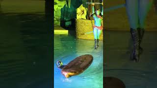 Increíble el espectáculo de AVATAR en el Camping Le Floride Camping de 5 ⭐⭐⭐⭐⭐
