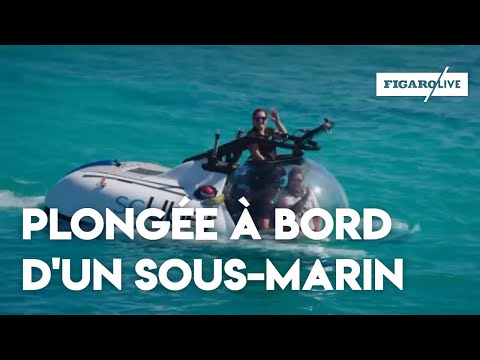 Vidéo: Attrapez Un Trajet Uber De 1000 $ à Bord D'un Sous-marin Jusqu'à La Grande Barrière De Corail