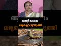 Latest News | 28 /04 /26 | Nation News Live #kozhikode #aap #veenageorge #kothamangalam #antivenom